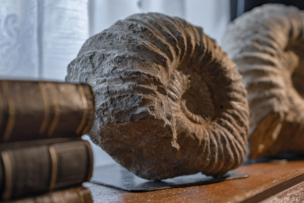 Decorative interior detail with artistic elements